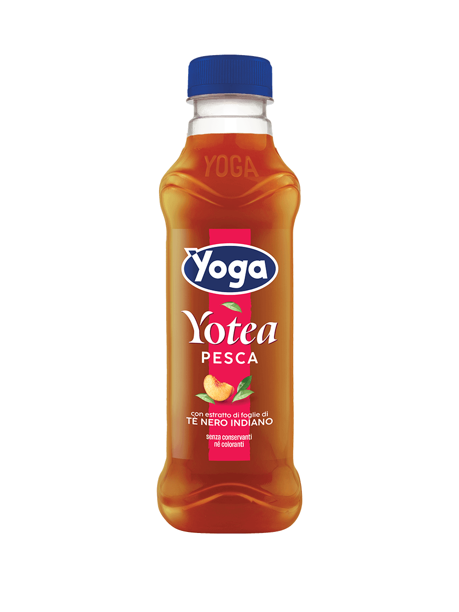 Yotea Pet Pesca