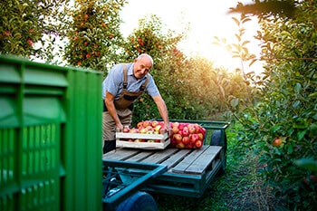 C’è succo e succo: le differenze tra bevande, nettari e succhi di frutta