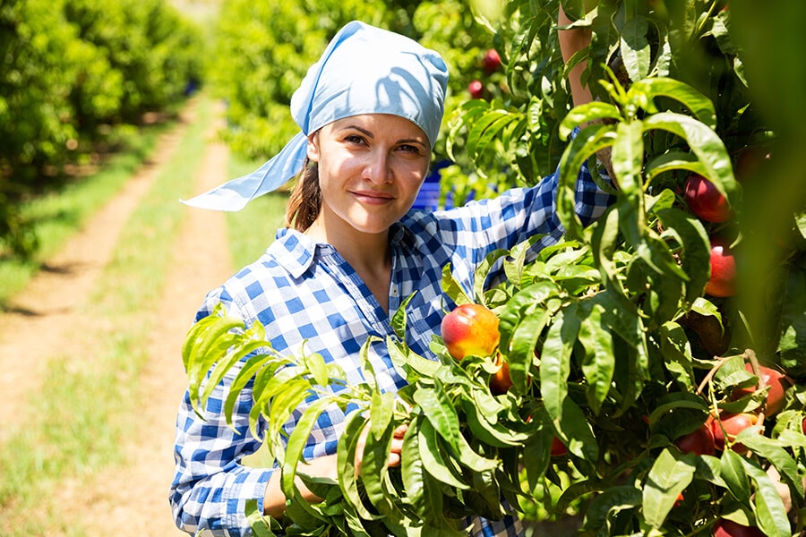 Yoga e l’agricoltura sostenibile: il gusto di amare il pianeta.